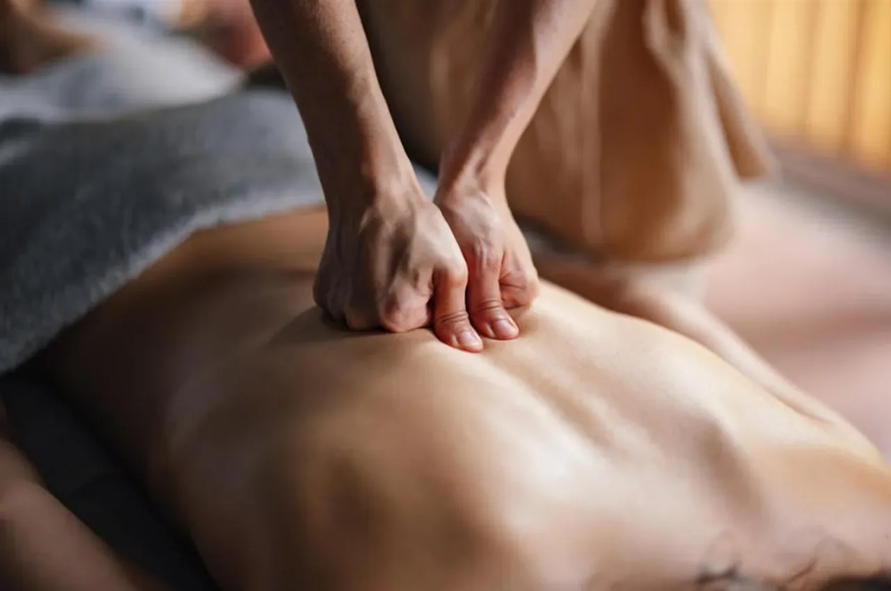 Deep tissue massage applying firm pressure to the back at Clayton Day Spa in Concord CA